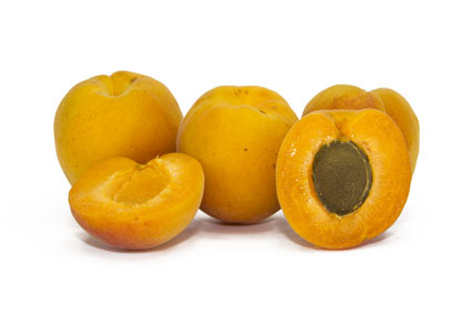 apricot-tree - colture - Fertilgest